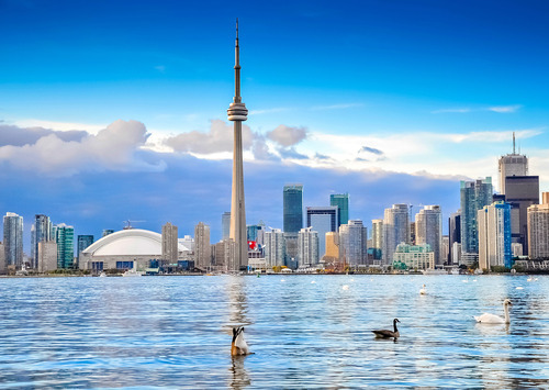 Toronto Real Estate - Naresh Donthukurthi, Sales Representative